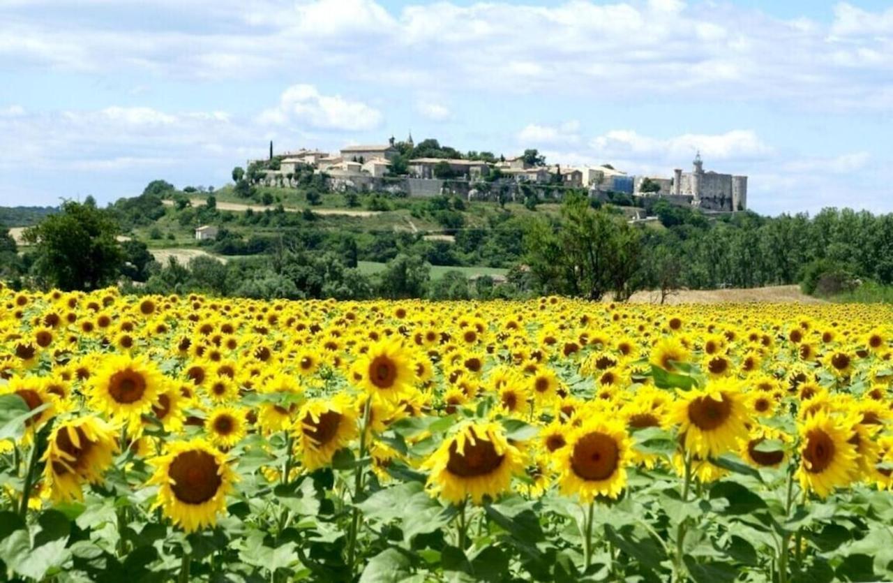 Villa Charmante A Lussan Avec Piscine Privee Et Jardin Closa 外观 照片